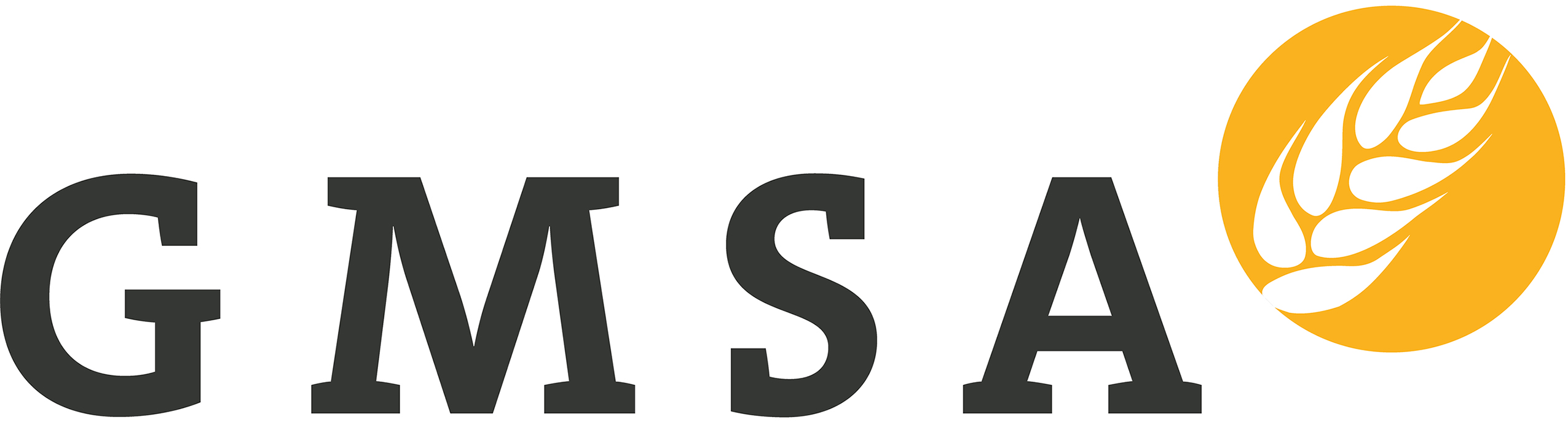 Logo GMSA